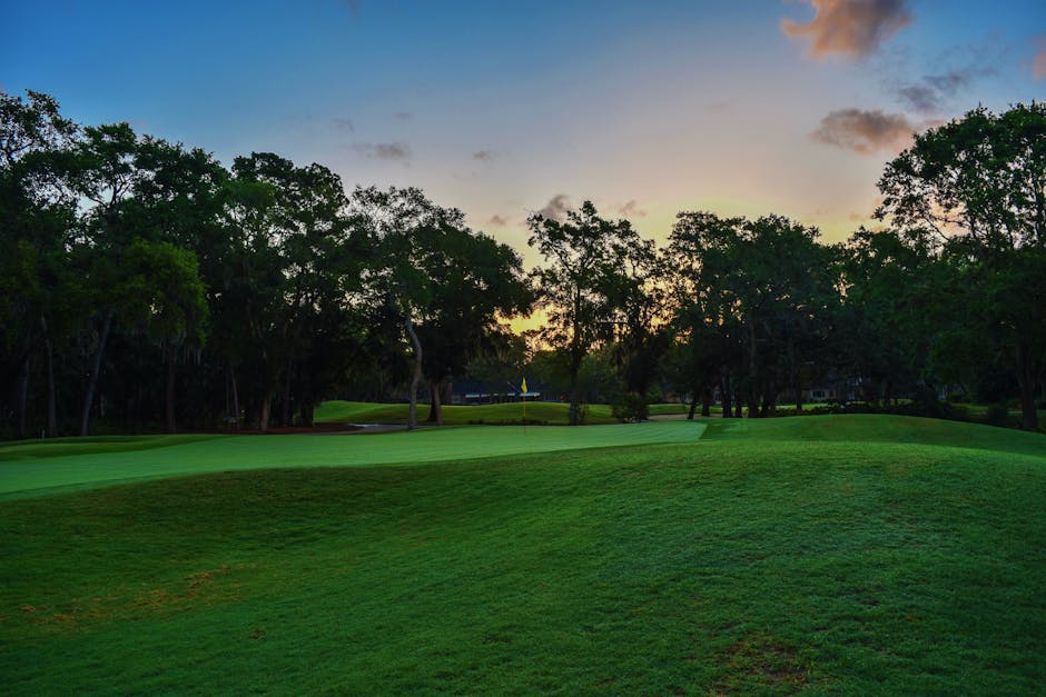 🏌️‍♂️ Golf Fernmitgliedschaft: Die Zukunft des Golfsports