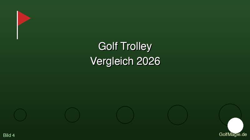 Golftrolley pflegen und warten