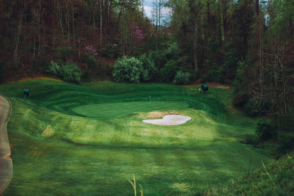 Eintracht Frankfurt Mitgliedschaft